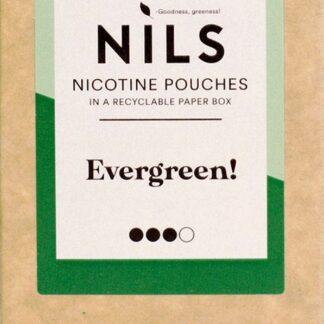 Nils Evergreen