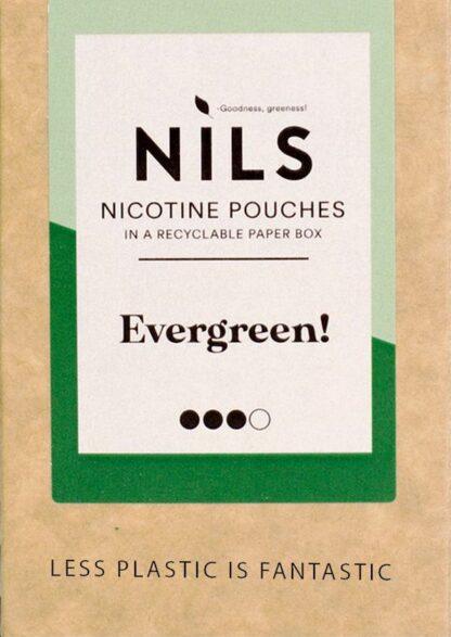 Nils Evergreen
